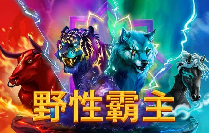 九球体育app下载官网